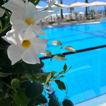 Hotel Blue Marine Shkallnur